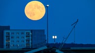 Der Vollmond ist am Abend am Himmel über der teileingestürzten Carolabrücke in Dresden zu sehen