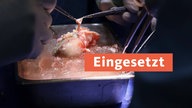 TN - Eingesetzt