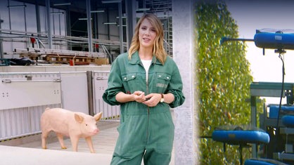 Catherine Vogel vor einer landwirtschaftlcihen Maschine und ienem künstlichen Schwein