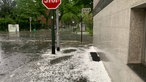 Unwetter in Düsseldorf- Holthausen