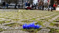 Impressionen vom Veilchendienstagszug in Mönchengladbach