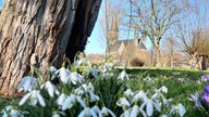 Wadersloher Kirche St. Margareta