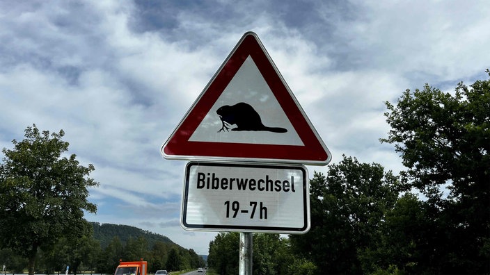 Ein dreieckiges Warn-Schild mit einem Biber-Piktogramm und der Aufschrift: "Biberwechsel 19-7h".