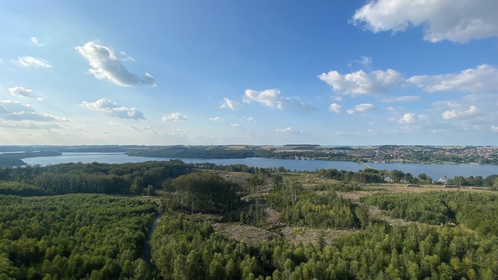 Die Aussicht auf den Nationalpark Arnsberger Wald