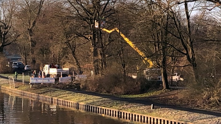 Mit einer Teleskop-Arbeitsbühne wird an Bäumen neben dem Kanal gearbeitet.