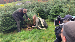 Sarah Neßhöver beim Weihnachtsbaum absägen