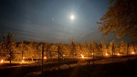 Obstplantage mit kleinen Feuern bei Vollmond 