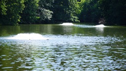 Die Gelsenwasser-Pumpen in der Stever