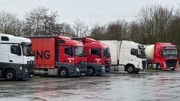 Lkw in einer Reihe auf einem Rastplatz