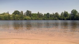 Der Strand des Haddorfer See mit Blick auf einen Wald auf der anderen Seite.