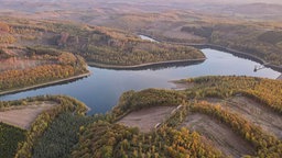 Blick auf die Obernautalsperre und Brachflächen in Netphen