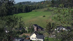 Mehrere Wohnhäuser am Rande eines grünen Berghangs