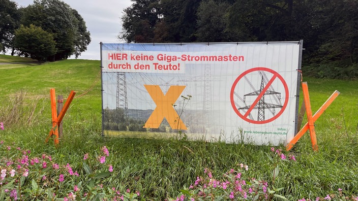 Protestplakat im Teutoburgerwald auf dem steht: Hier keine Giga-Strommasten durch den Teuto!