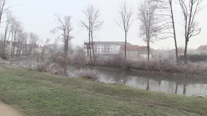 Zu sehen ist eine Aussicht auf eine zerstörte Allee.