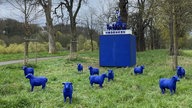 Zu sehen sind blaue Schafsstatuen, welche auf einer Wiese stehen, hinter ihnen steht ein blauer Quader auf welchem vier Schafe einen Streitwagen ziehen, wo der Fahrer ein Peace-Zeichen emporhält.