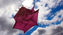 Ein vom Wind verwehter und zerzauster Regenschirm