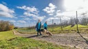 Spaziergang mit Hund in Leichlingen am Wahlsonntag