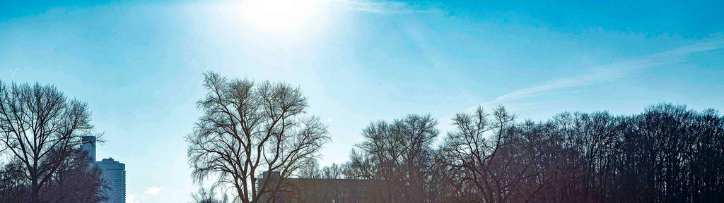 Sonnenschein am Aachener Weiher in Köln