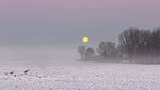 Wolfsmond über schnee- und nebelbecktem Feld am frühen Morgen 