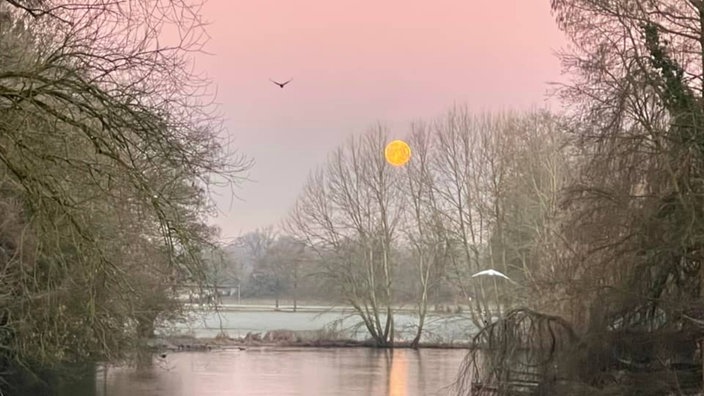 Der Wolfsmond am rötlichen Horizont über einem Teich