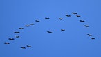 27.10.2022, Thüringen, Eisenach: Kraniche fliegen in Formation über den Thüringer Wald in Richtung Süden