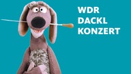 Dackl mit Dirigierstab