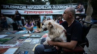 Tierschützer protestieren einen Tag lang in einem öffentlichen Garten in Ankara, Türkei, aufgenommen am Abend des 23. Juli. 