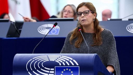 Ilaria Salis, Abgeordnete beim Europäischen Parlament