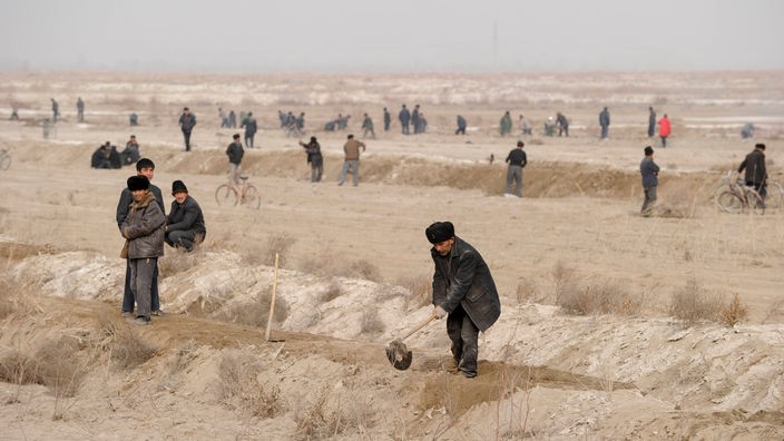 Ujguri rade na poljima pamuka u Kini