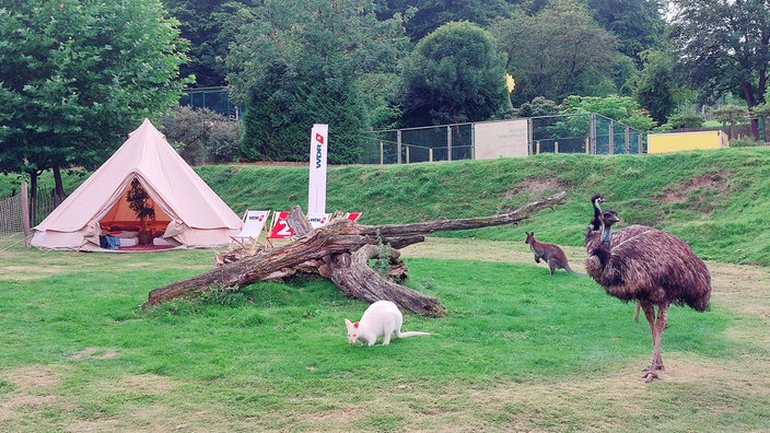 Das Zelt im Vogelpark Heiligenkirchen