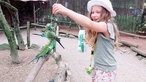 Das Zelt im Vogelpark Heiligenkirchen