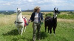 Lamatrekking in Gelsenkirchen: Beate Pracht mit zwei Lamas