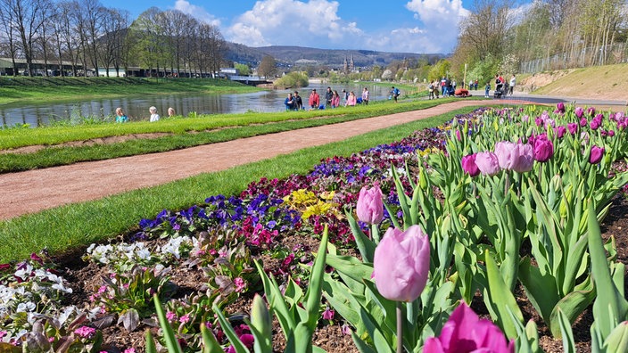 Landesgartenschau Höxter