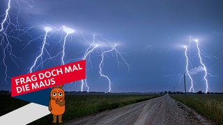 Gewitter mit Blitzen über einer Ebene