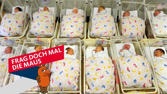 Babys liegen auf der Neugeborenenstation in einem Krankenhaus