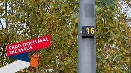 Pfosten einer Straßenlaterne in Köln mit der Nummer "16"