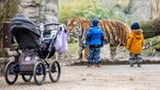 Allwetterzoo Münster: Kinder am Tigergehege