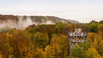 WDR 2 Raus in den Westen: Der Baumwipfelpfad in Bad Iburg