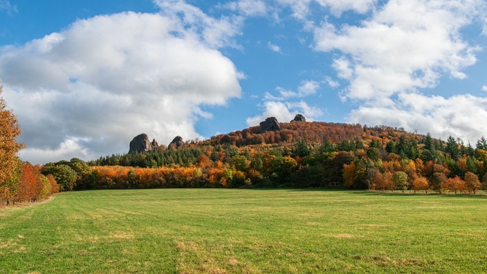 Die Bruchhauser Steine 