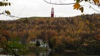 Blick auf Waldsee und Geleucht