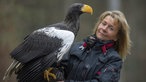 Riesenseeadler Grobi auf der Hand von Carola Schossow