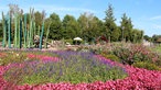 Sommerbeete im Gartenschaupark Rietberg