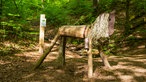 Unterwegs auf dem Grafenschatzweg