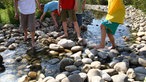 Irrland: Erlebnislabyrinth zwischen Bauernhof und Riesenspielplatz