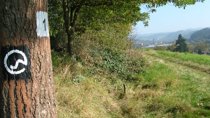 Wandern in Kreuztal: Kindelsbergpfad