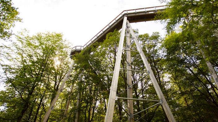 Naturerlebnispark Panarbora in Waldbröl