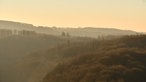 Schloss Burg: Blick vom Schlossberg auf die Wälder in der Umgebung