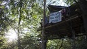 Ein Bretterhaus im Hambacher Forst