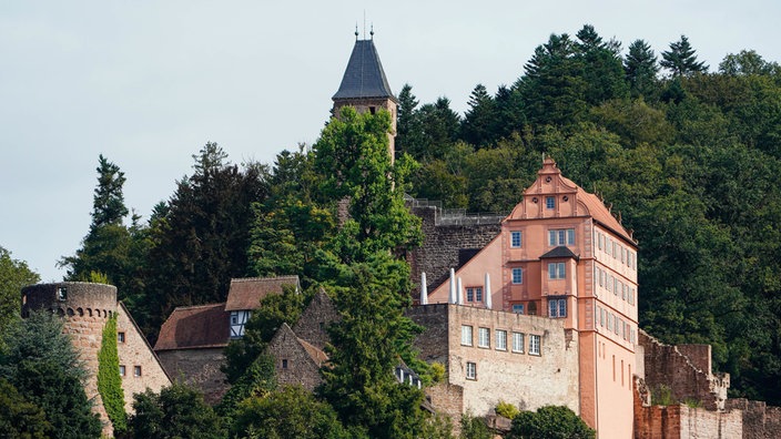 Ein Schloss das zwischen mehreren Bäumen hervorragt.