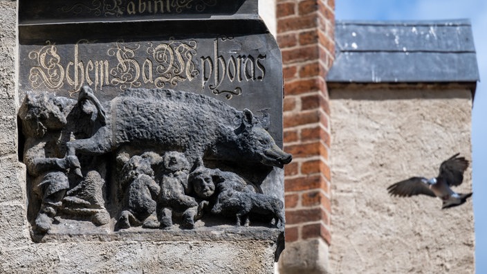 Wittenberg: Eine als "Judensau" bezeichnete Schmähplastik ist an der Stadtkirche zu sehen. 